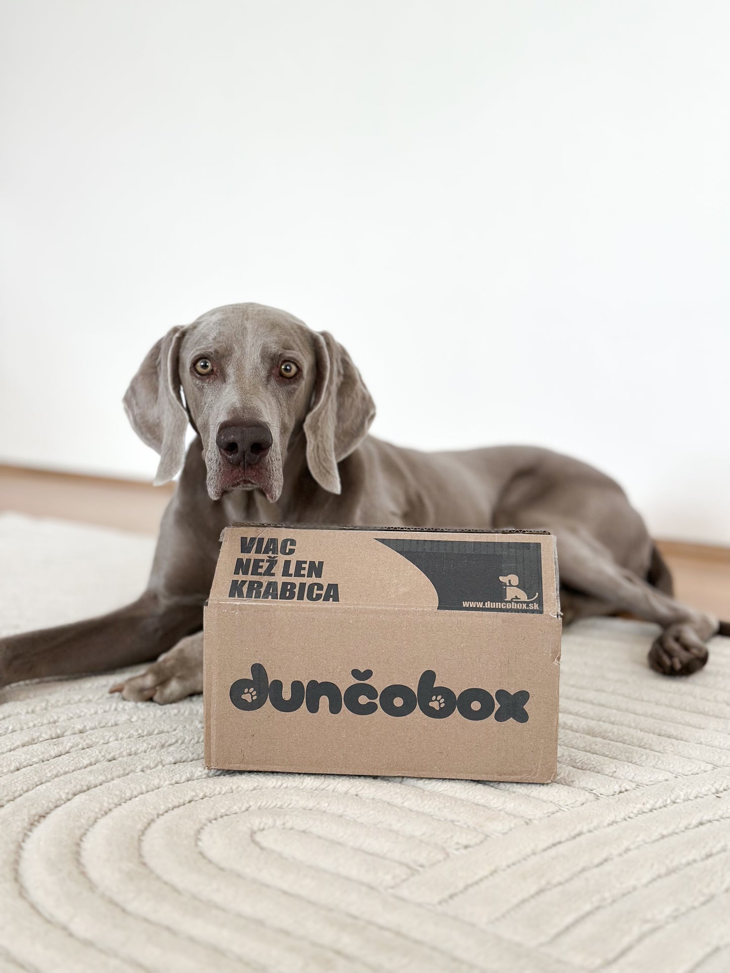 DunčoBox – Lesní kamarádi 🐿️