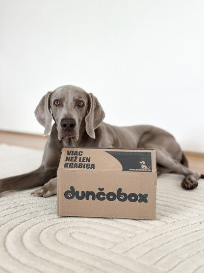 DunčoBox – Lesní kamarádi 🐿️